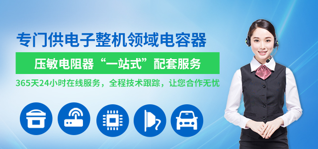 專業(yè)提供電子整機(jī)領(lǐng)域電容器